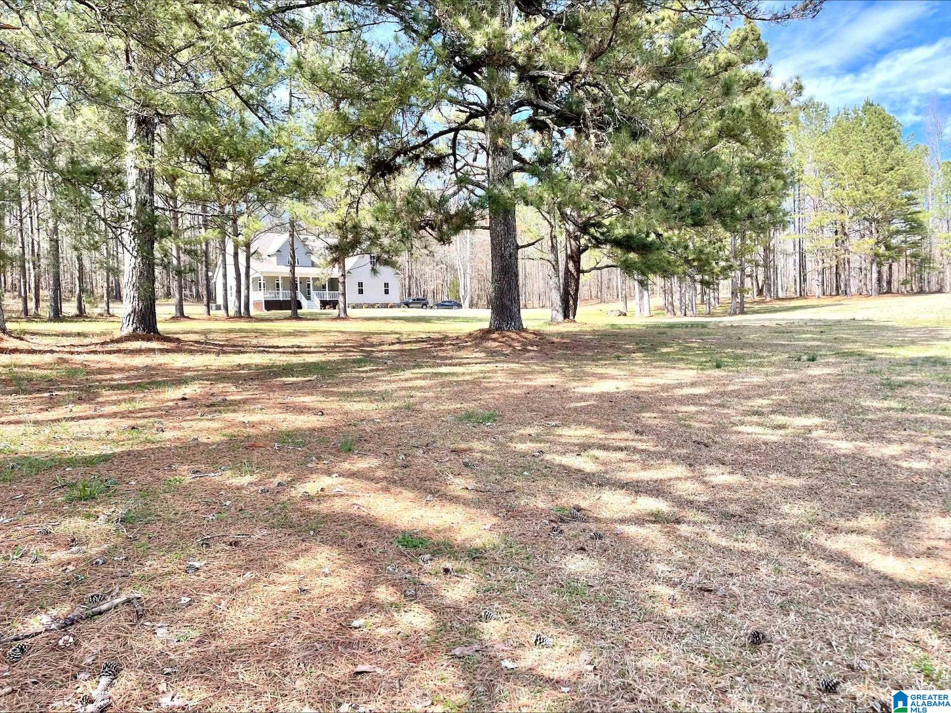 55 County Road 928 Delta, AL 36258 - Photo 26 of 28