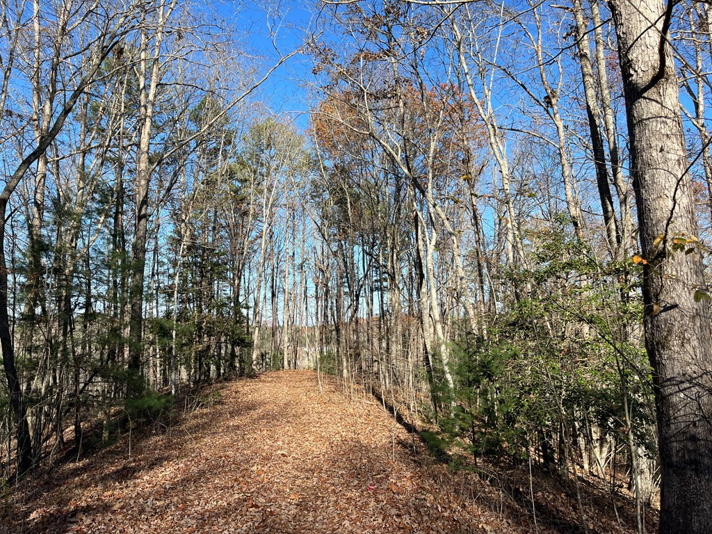 Tbd Corey Hill Murphy, NC 28906 - Photo 2 of 6
