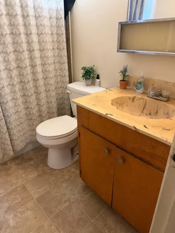 a bathroom with a sink and a toilet