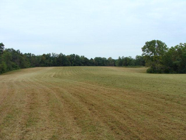 0 Bark Road Waco, KY 40385 - Photo 10 of 13 Photo 10