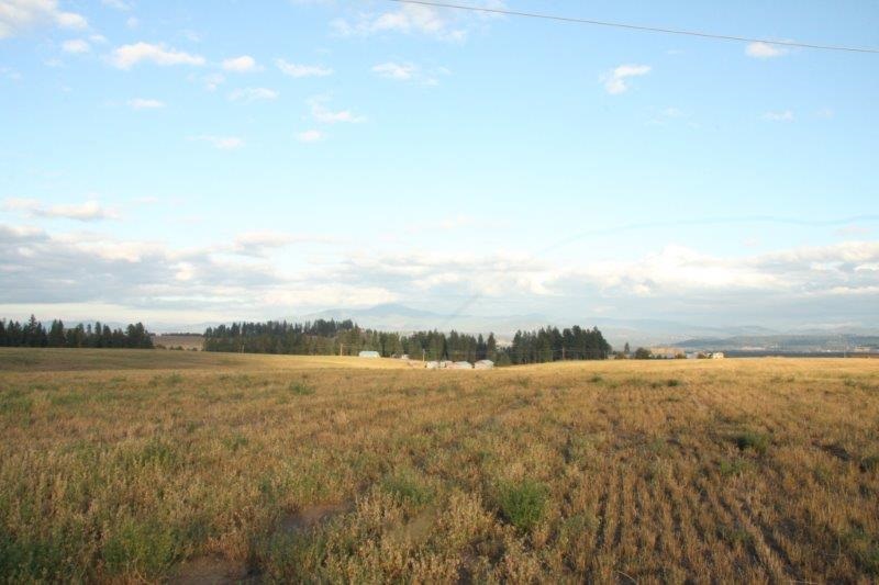 7 North Colbert Wa 99005 Colbert, WA 99005 - Photo 5 of 7 Gallery Image 5