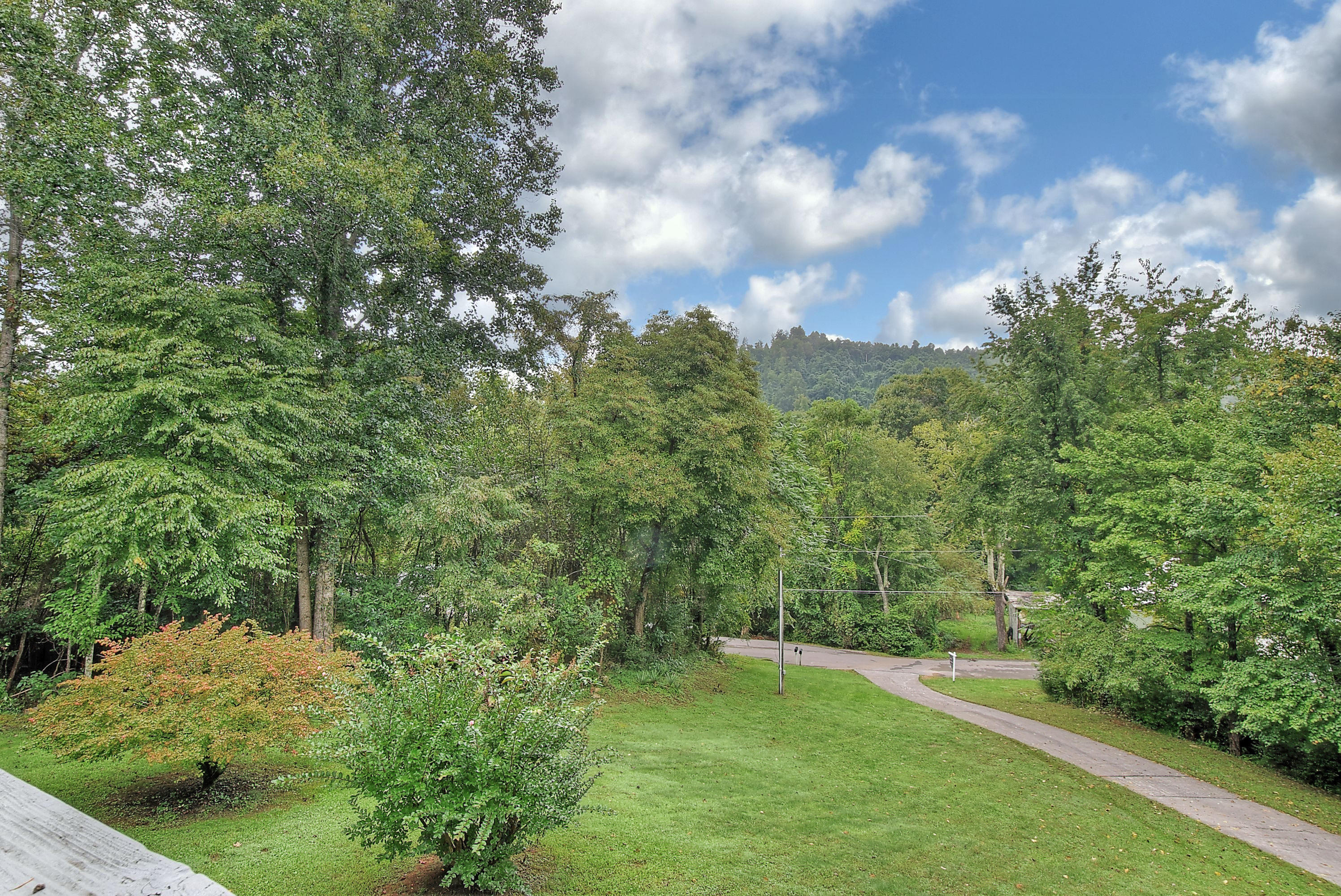 183 Roy Bowers Road Elizabethton, TN 37643 - Photo 10 of 39 9 (1)