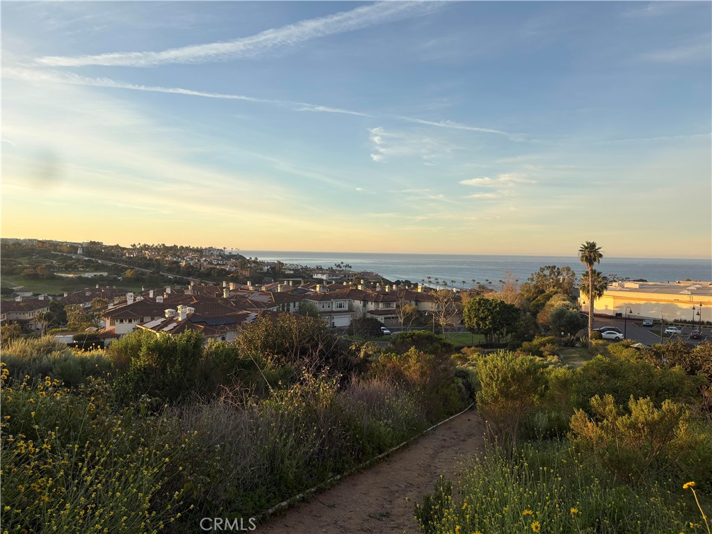 23281 Atlantis Way Dana Point, CA 92629 - Photo 63 of 81 Private Trail to Beach