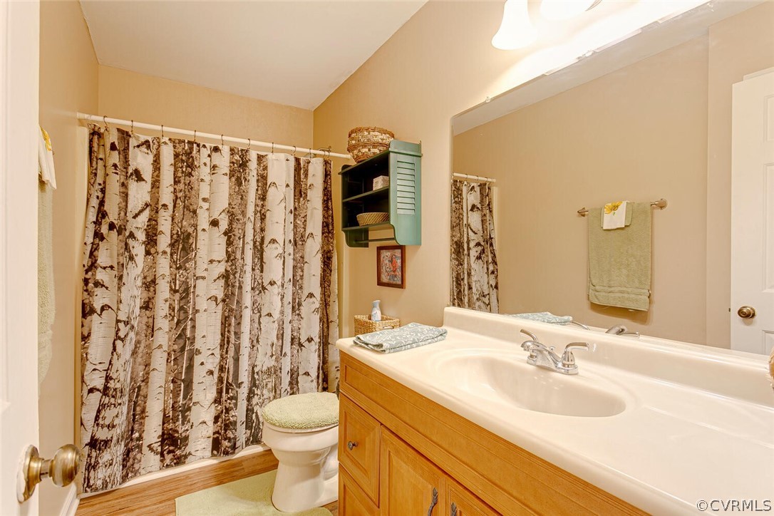 3817 Leabough Road Goochland, VA 23063 - Photo 17 of 29