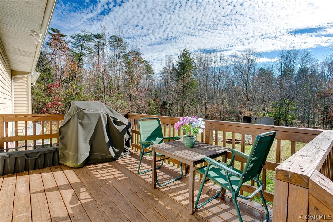 3817 Leabough Road Goochland, VA 23063 - Photo 21 of 29