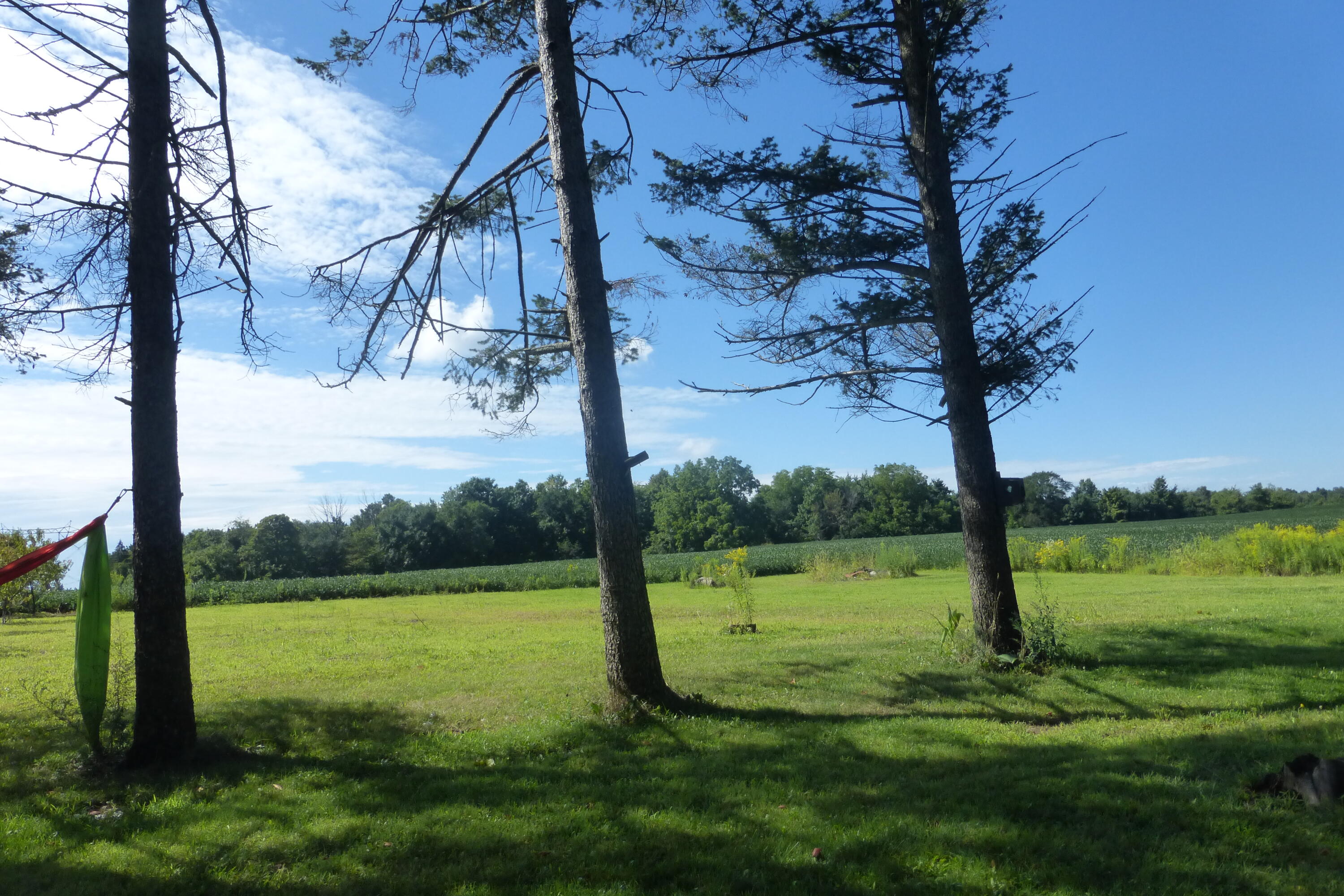 3060 Olive Branch Road Galien, MI 49113 - Photo 3 of 10 P1040356