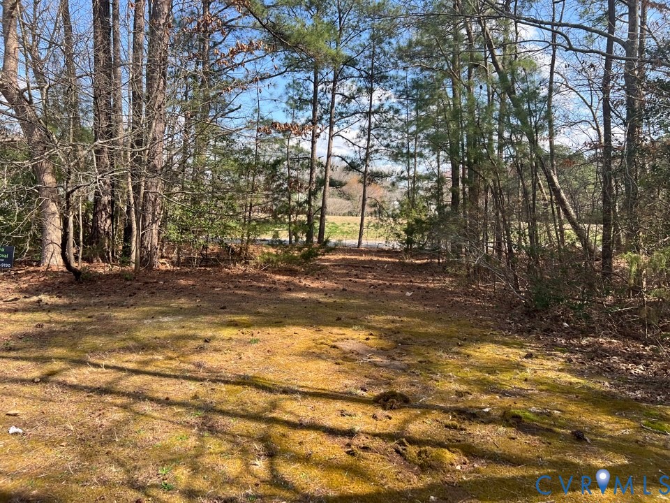 707 Greyledge Boulevard Chester, VA 23836 - Photo 4 of 10 a view of a yard with a tree