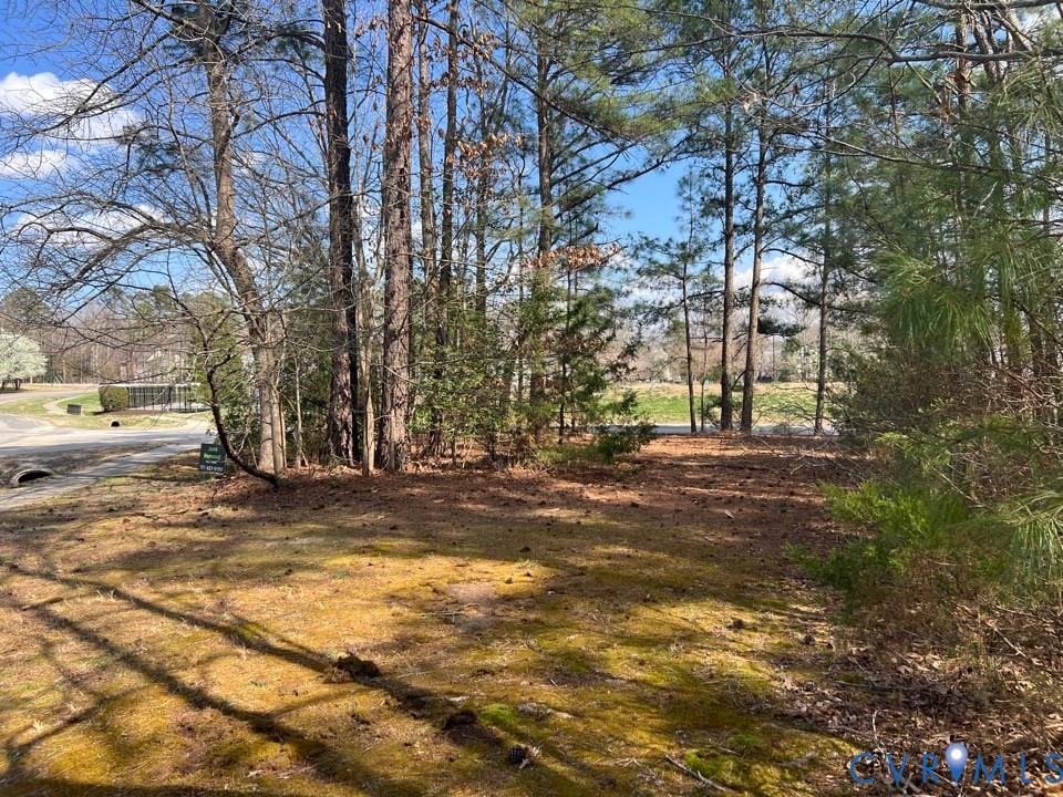 707 Greyledge Boulevard Chester, VA 23836 - Photo 5 of 10 a view of road with trees