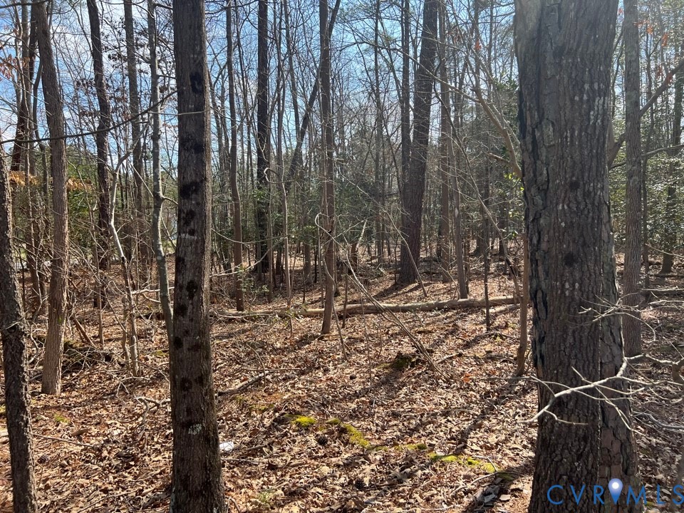 707 Greyledge Boulevard Chester, VA 23836 - Photo 6 of 10 a view of a forest with trees