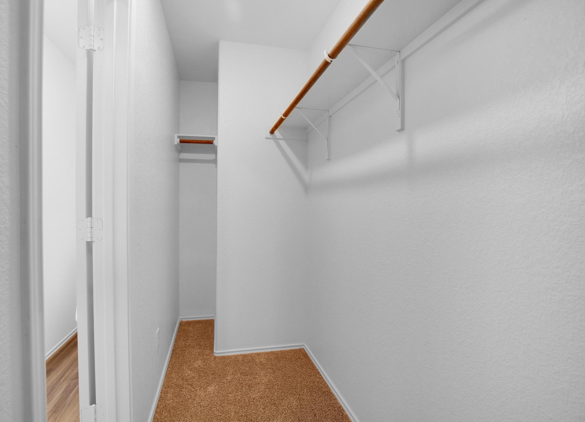 21409 Resource Road Pflugerville, TX 78660 - Photo 14 of 23 Walk in closet featuring light carpet