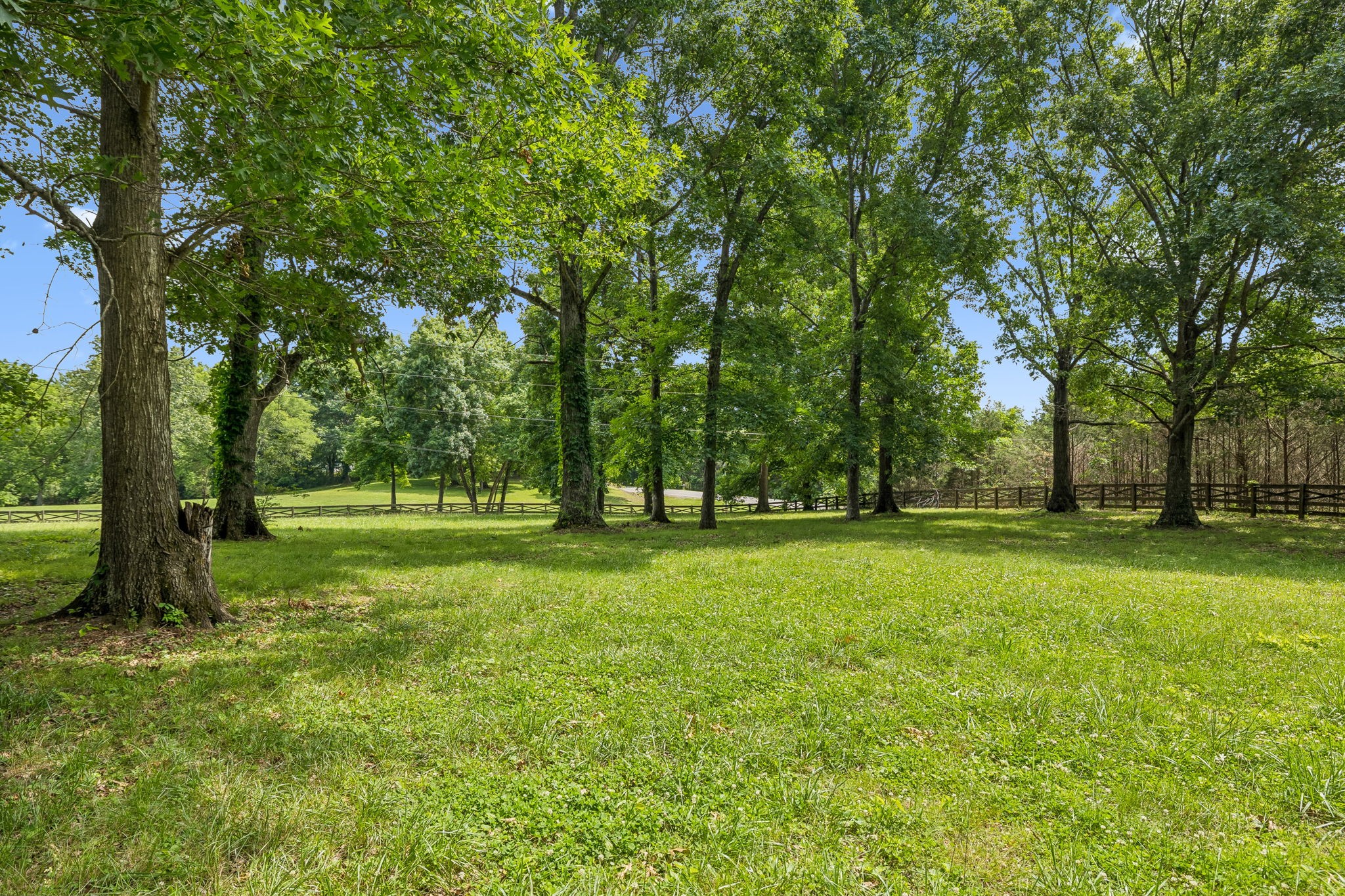 1533 Iron Bridge Road Columbia, TN 38401 - Photo 52 of 69