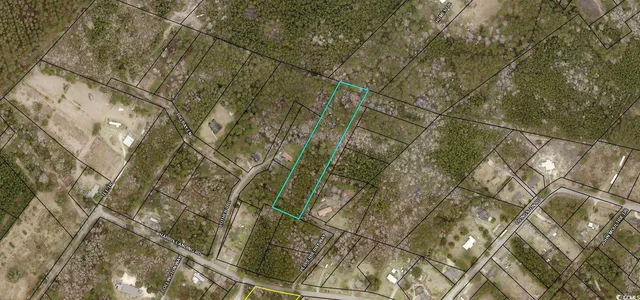 $87,000 | Tbd Tbd Pepperberry Lane, Georgetown, SC 29440