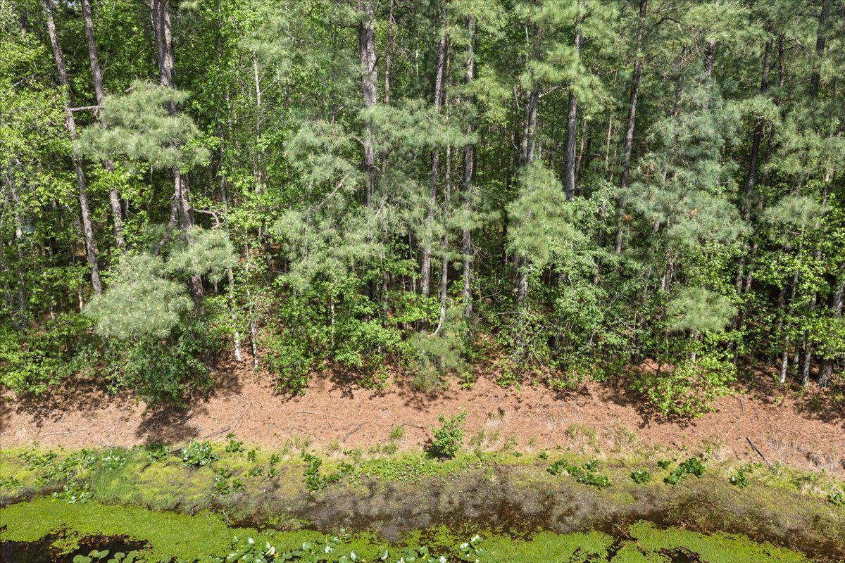 Lot 96 Sturgeon Road Lawrenceville, VA 23868 - Photo 4 of 23