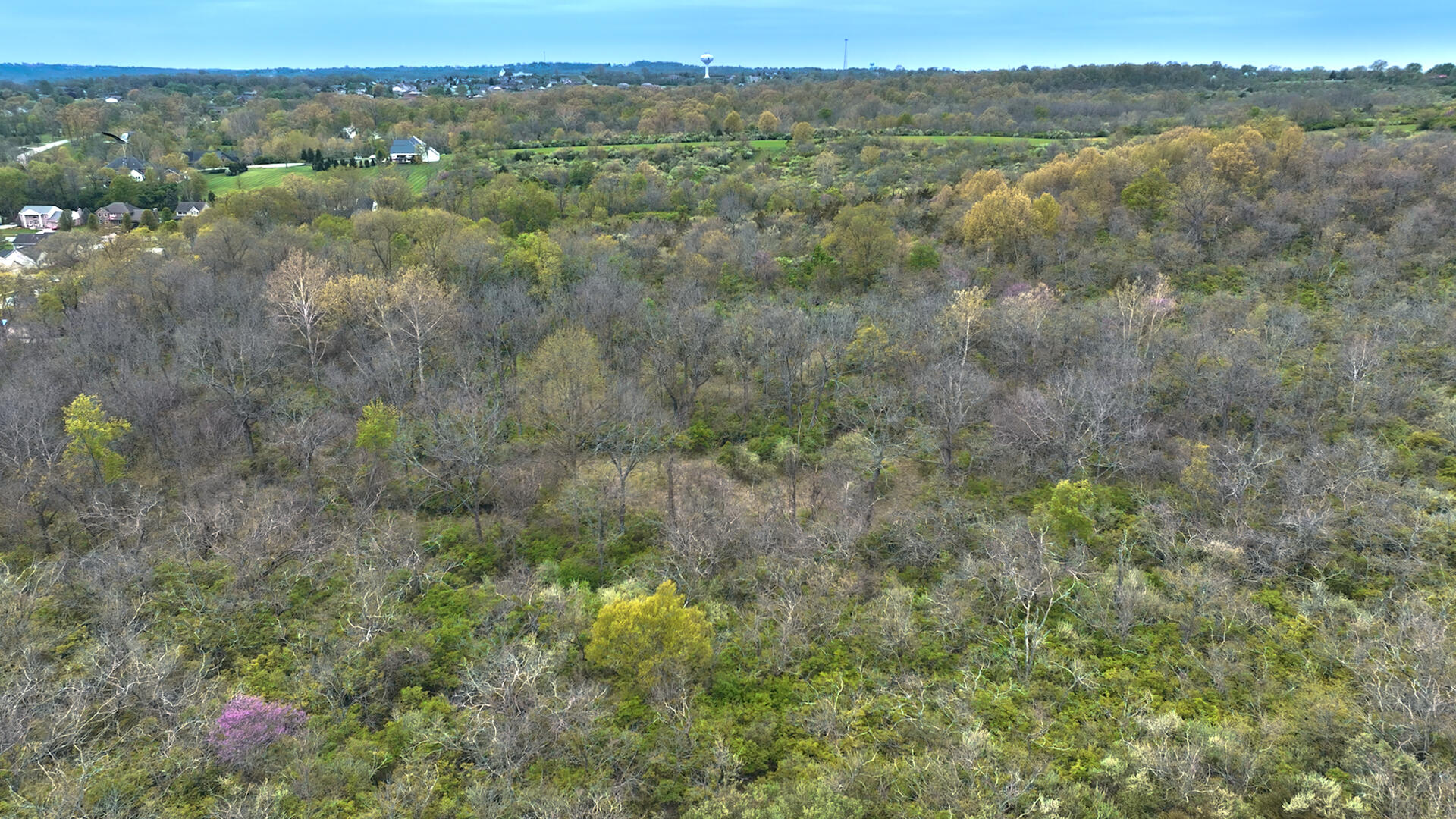 1907 West Elkton Road Hamilton, OH 45013 - Photo 9 of 13
