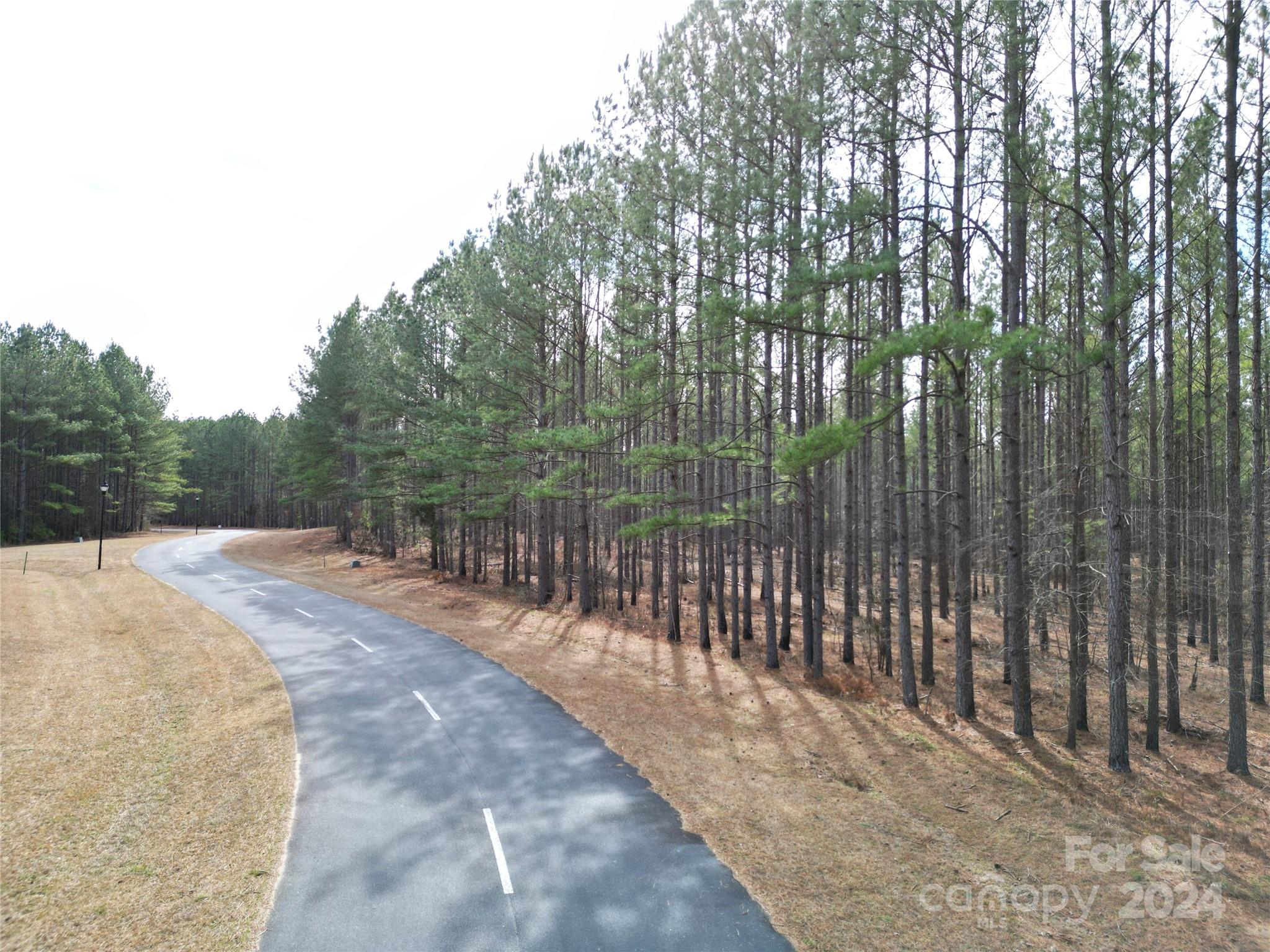 Tbd Tbd Spencer Pointe Road, Unit LOT 21A Lilesville, NC 28091 - Photo 4 of 16 a view of a backyard