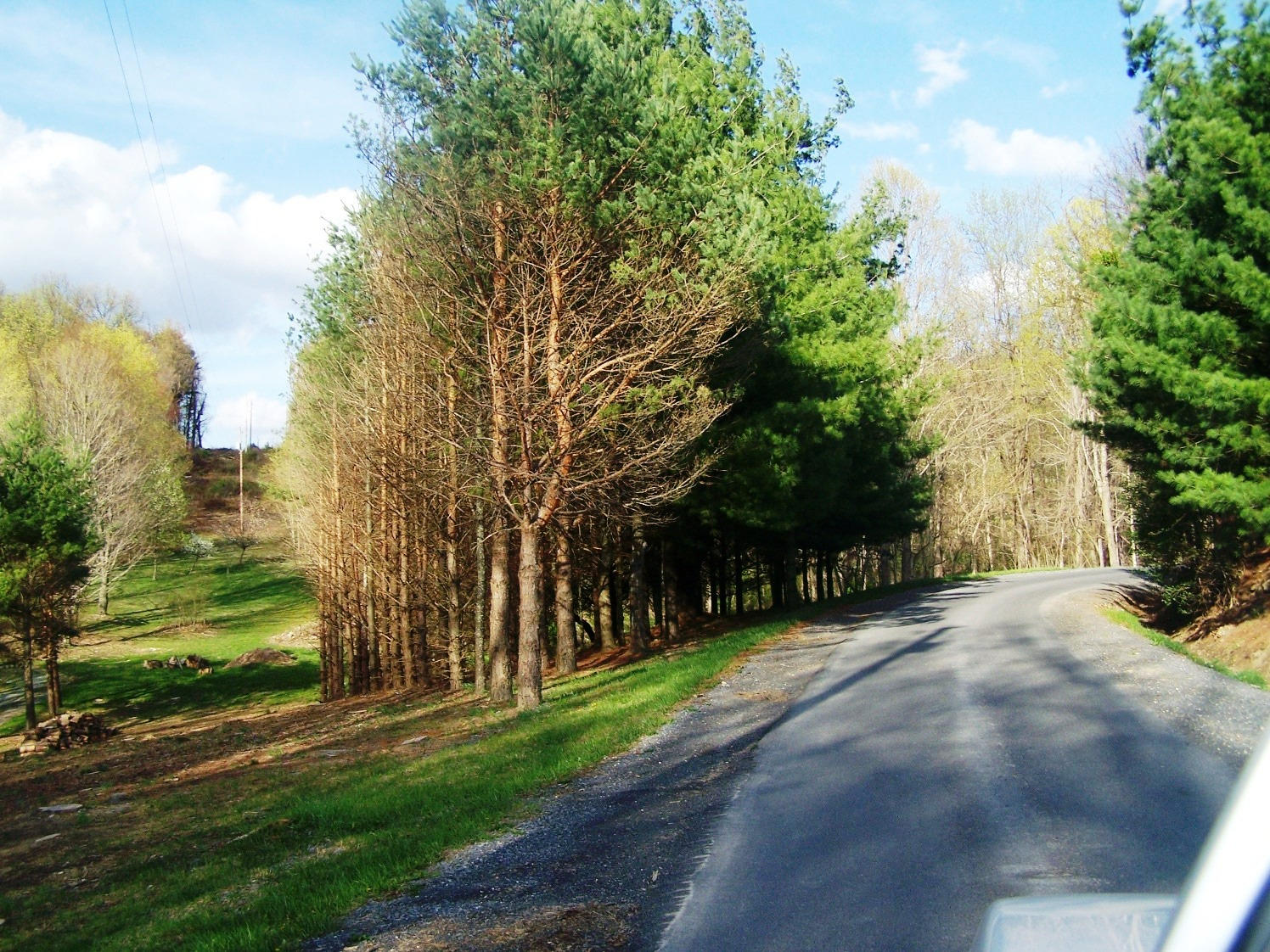 2327 Back Valley Road Lindside, WV 24951 - Photo 14 of 25 Gallery Image 14