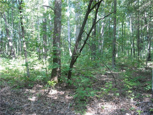 3030 Elliott Road Cedar Hill, TN 37032 - Photo 1 of 2 Gallery Image 1