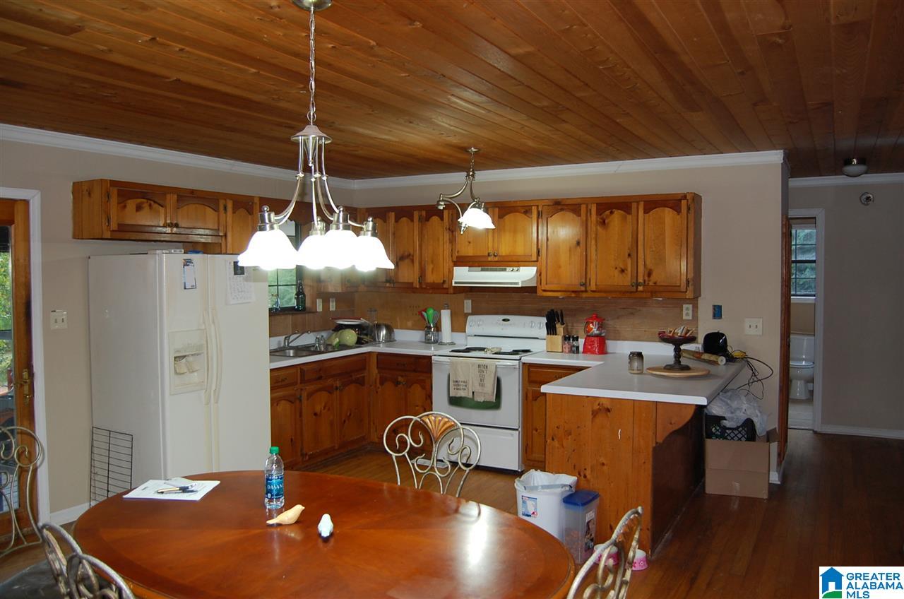 4464 Warrior Jasper Road Dora, AL 35062 - Photo 6 of 18
