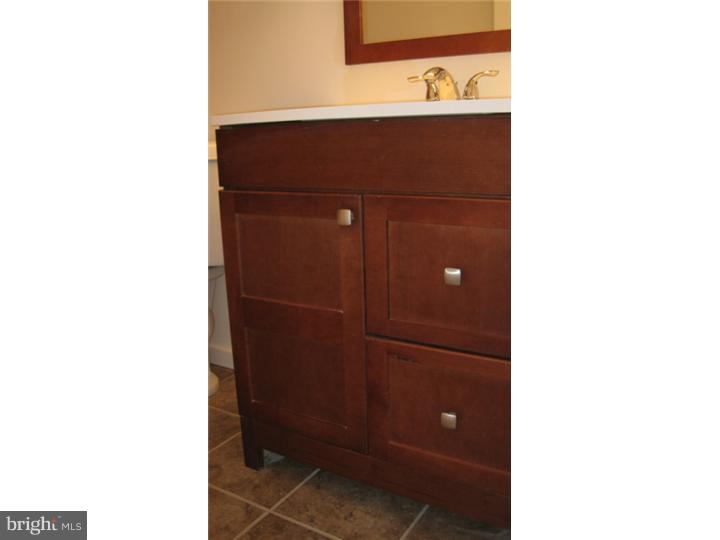 1701 Chippewa Ridge Ambler, PA 19002 - Photo 14 of 20 Bathroom