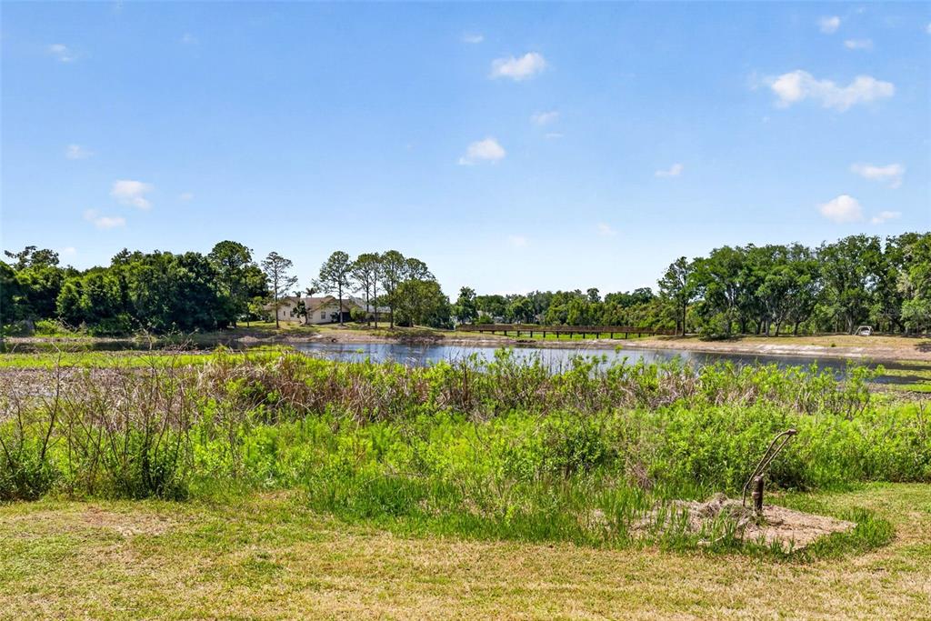 16330 Hanna Road Lutz, FL 33549 - Photo 3 of 41 a view of lake with green space
