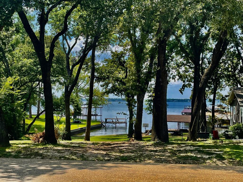 a view of a park with large trees