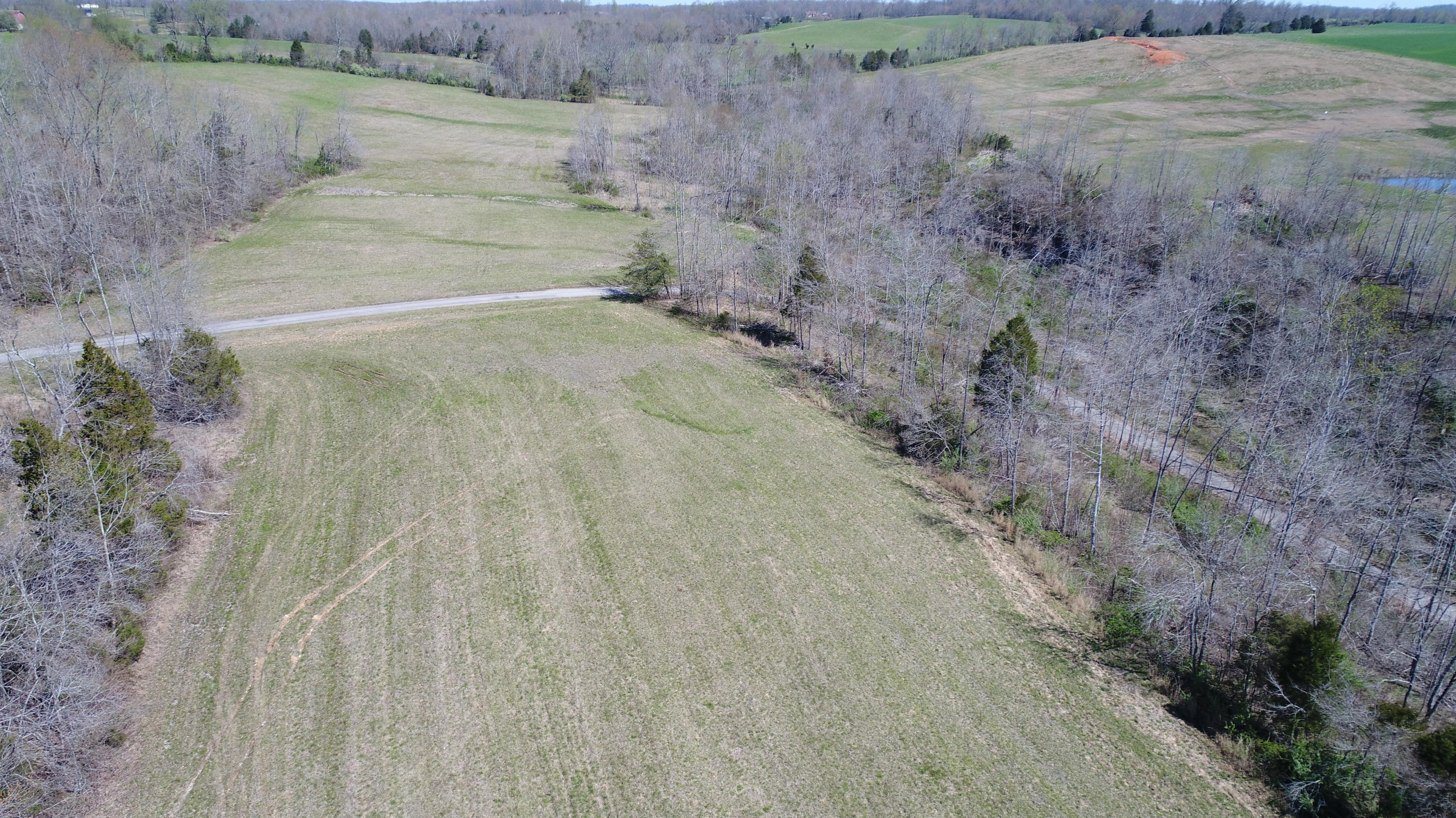 250 Ben Thompson Road Eubank, KY 42567 - Photo 12 of 15 2018-04-20 11.41.14