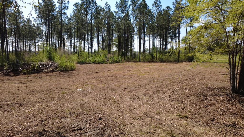 Lot 2 South County Road Slocomb, AL 36375 - Photo 13 of 19