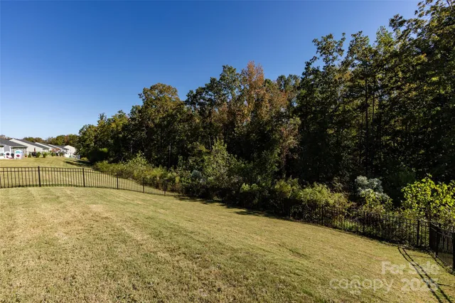 a view of a yard with trees