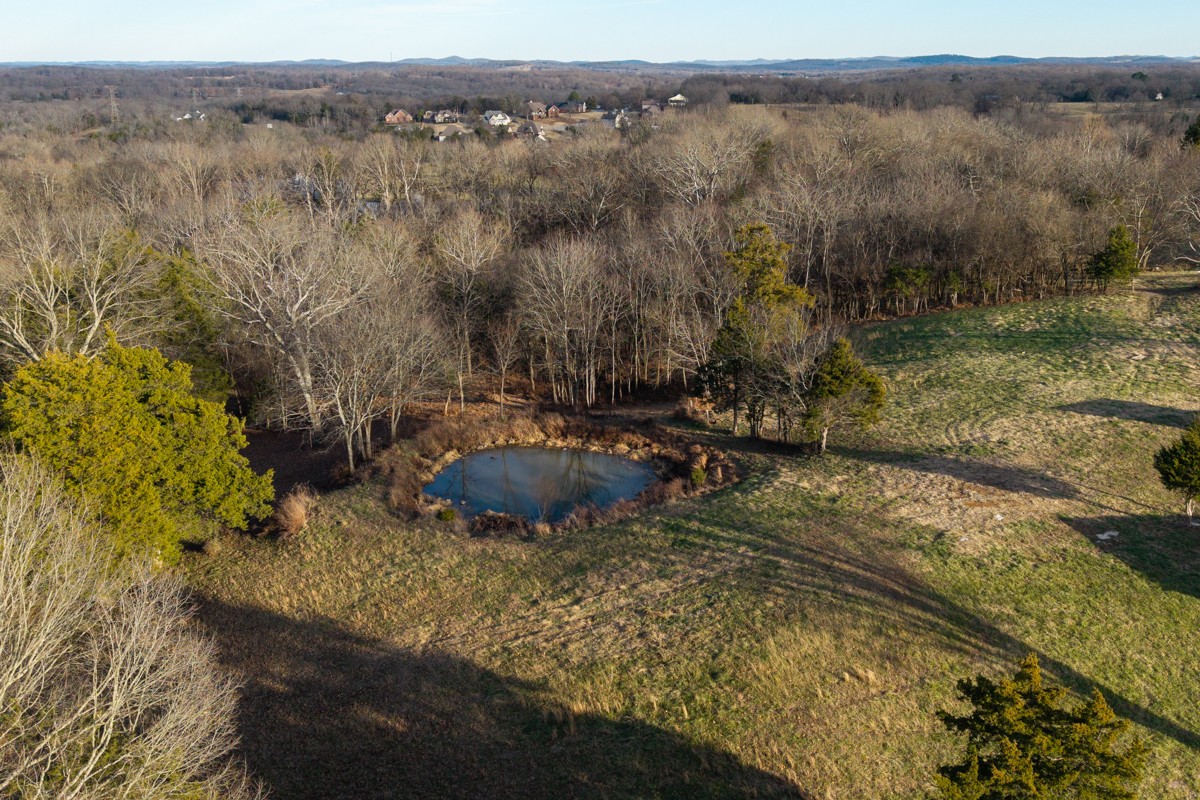 4900 Manners Road Lebanon, TN 37087 - Photo 11 of 21 a view of a lake with a mountain