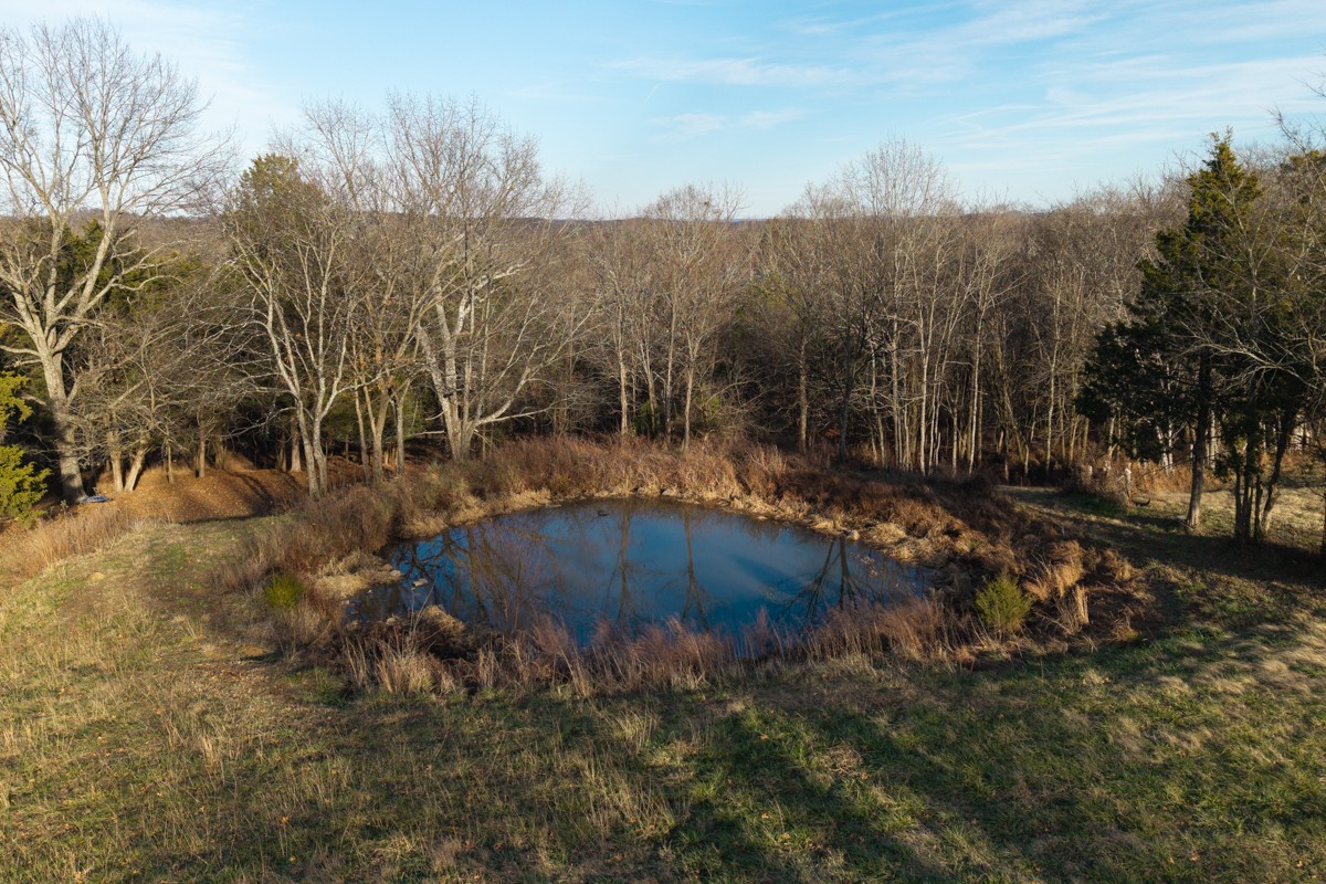 4900 Manners Road Lebanon, TN 37087 - Photo 12 of 21 a view of backyard with green space