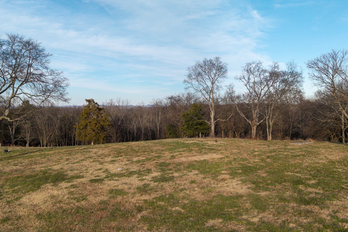 4900 Manners Road Lebanon, TN 37087 - Photo 13 of 21 a big yard with lots of trees