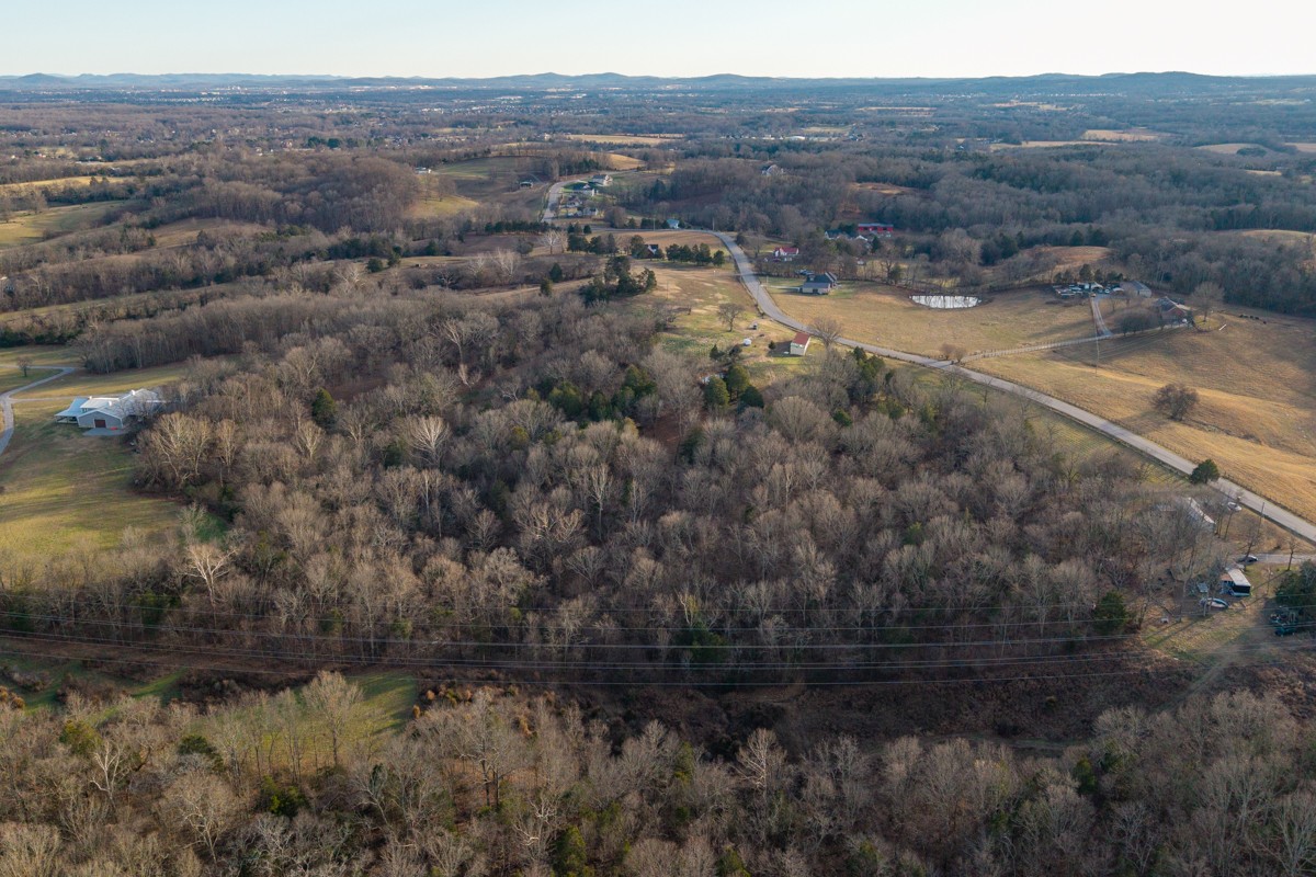 4900 Manners Road Lebanon, TN 37087 - Photo 19 of 21 a view of a lake with a mountain