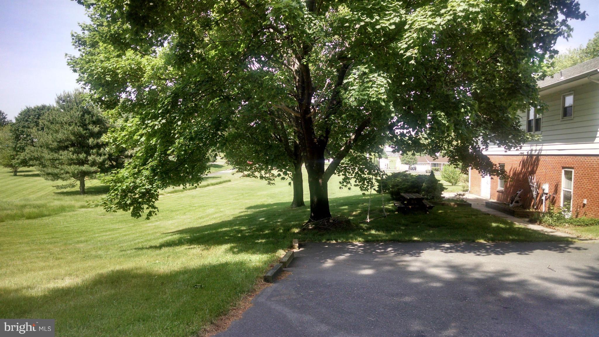 1091 Lower Pindell Road Lothian, MD 20711 - Photo 25 of 26 a view of a yard with plants and large trees