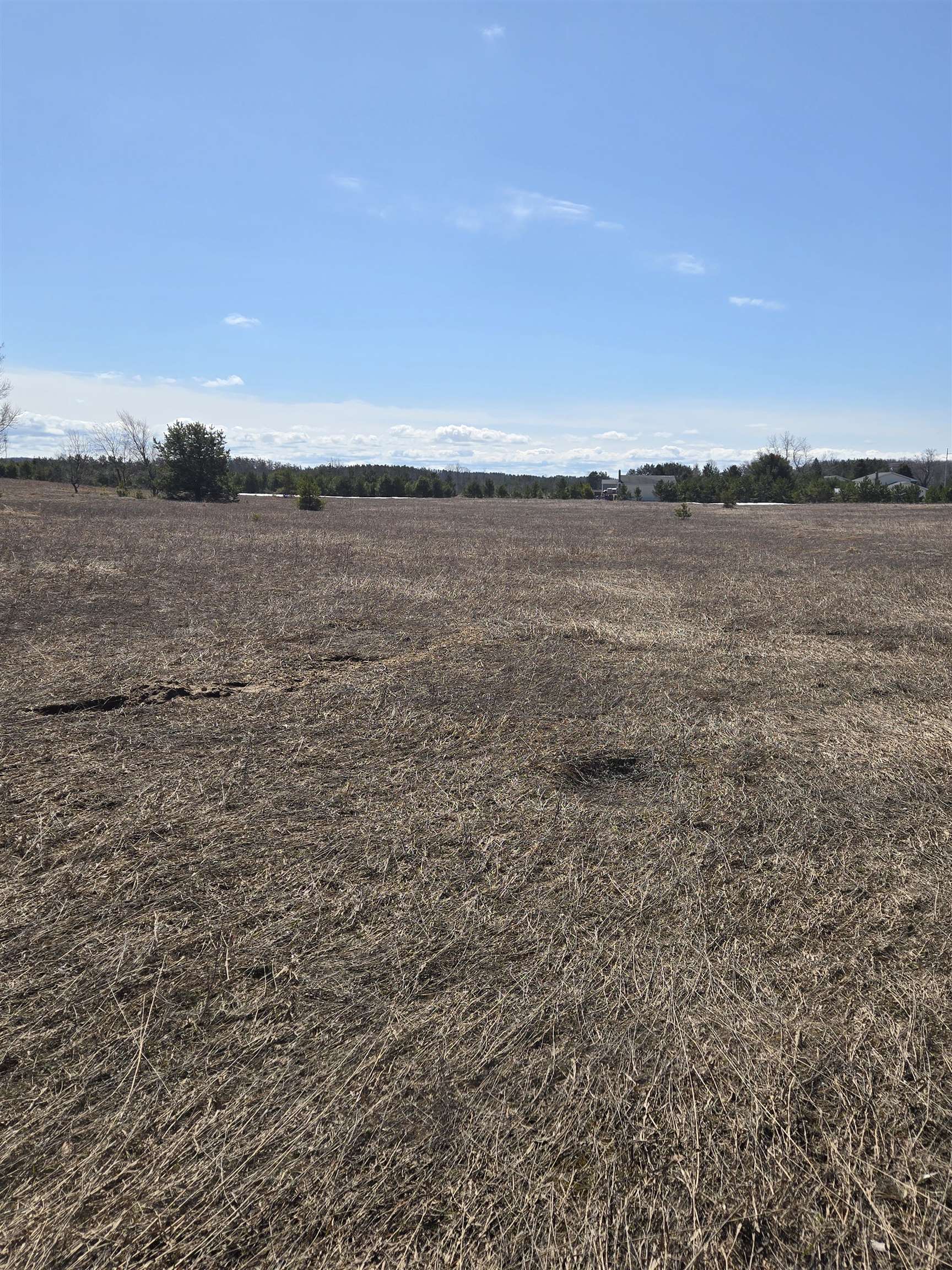 B Johnson Road, Unit LOT: B Mancelona, MI 49659 - Photo 18 of 48