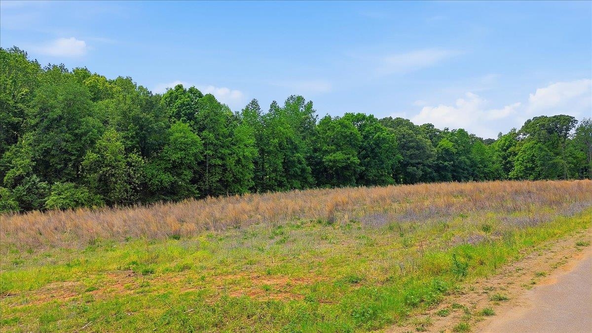 Lot 3 Parris Farm Road Chesnee, SC 29323 - Photo 13 of 26