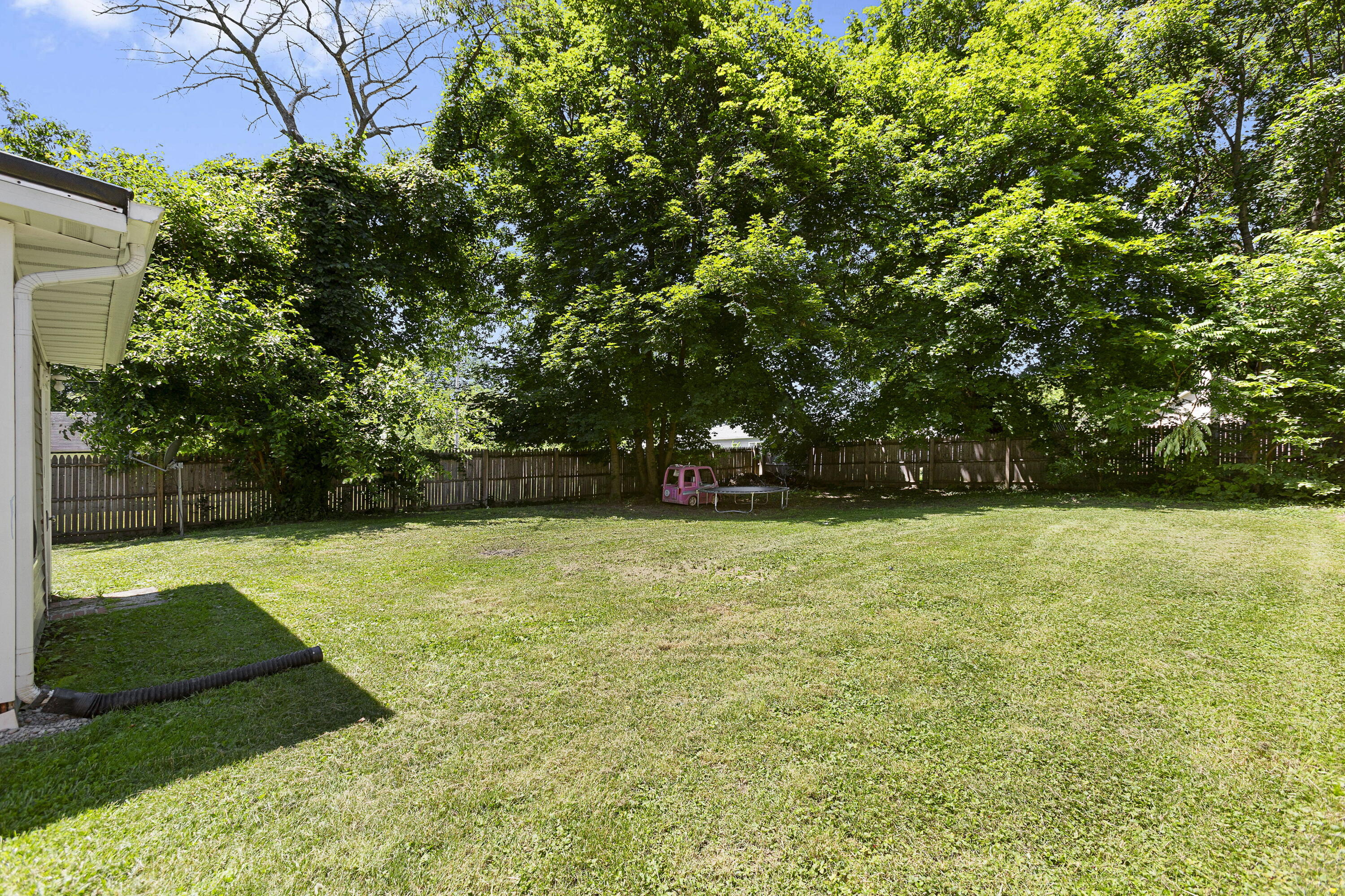 313 Elizabeth Street Buchanan, MI 49107 - Photo 16 of 20 Backyard