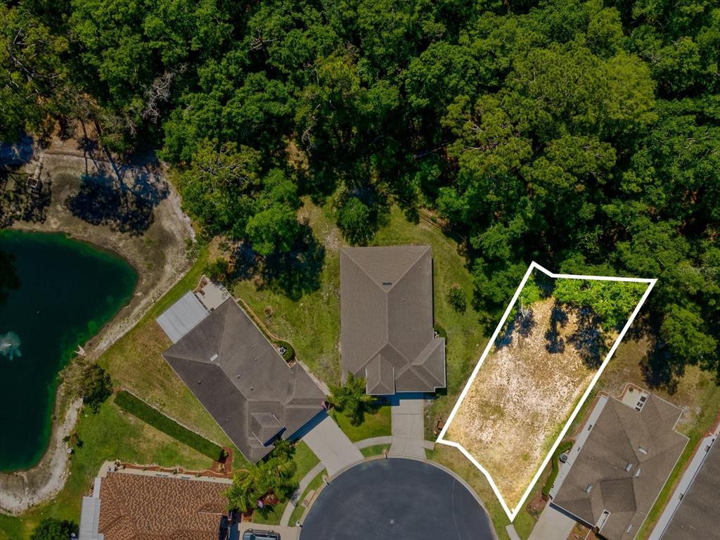 11444 Merganser Way New Port Richey, FL 34654 - Photo 2 of 26