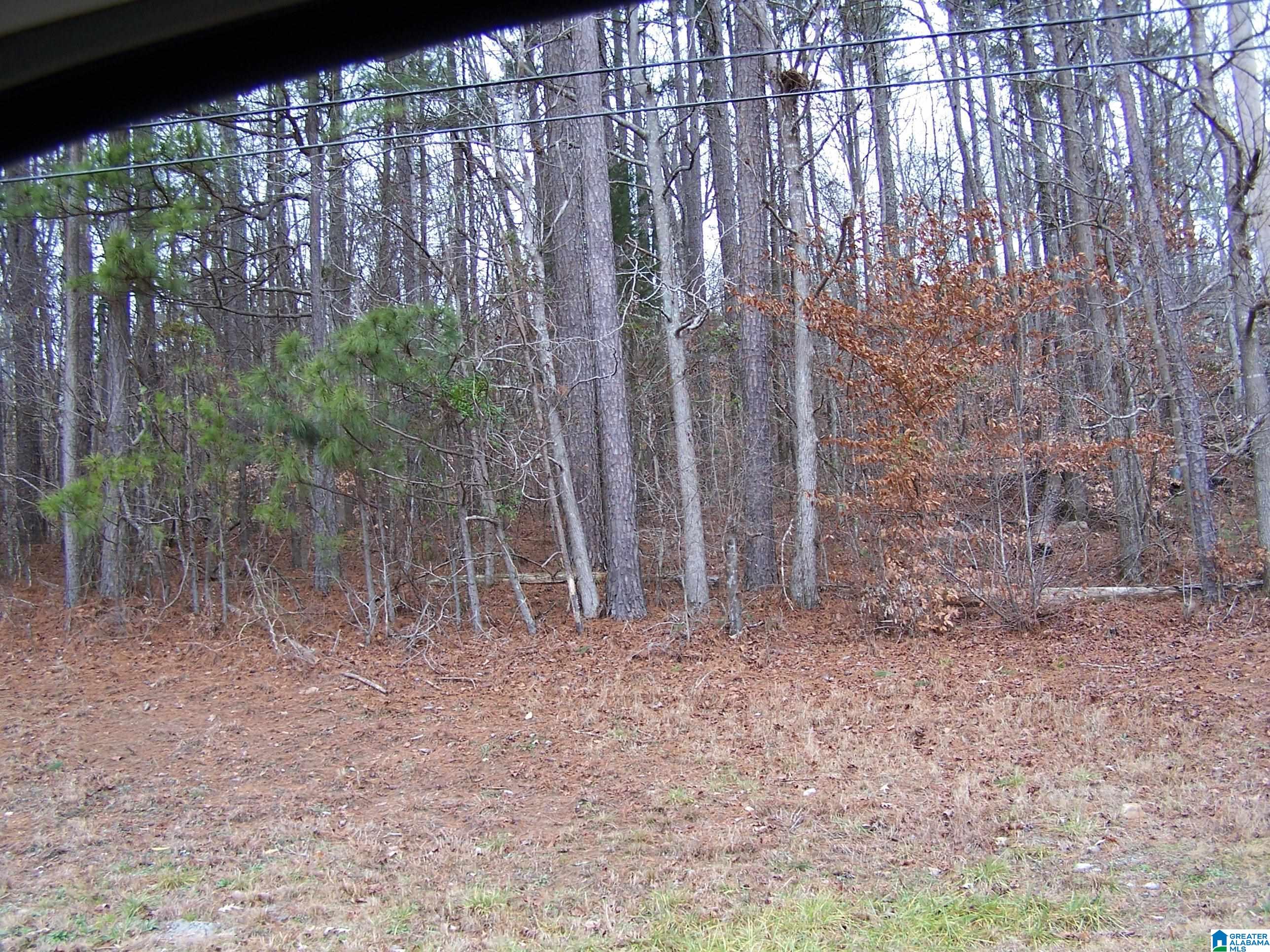 Heritage Road, Unit 7 Oneonta, AL 35121 - Photo 3 of 9