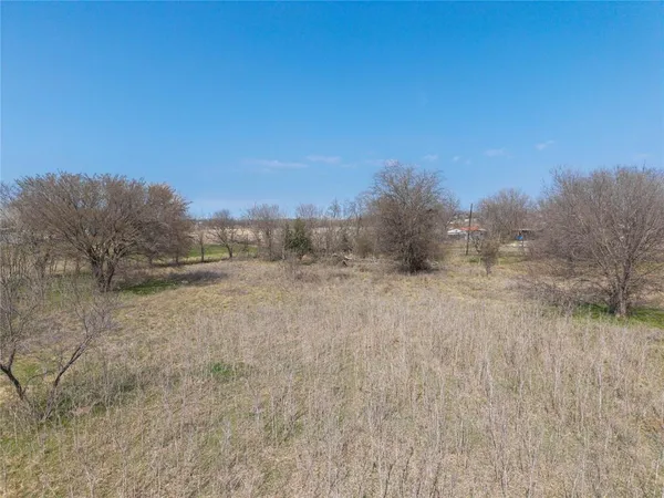 a view of a dry yard with trees