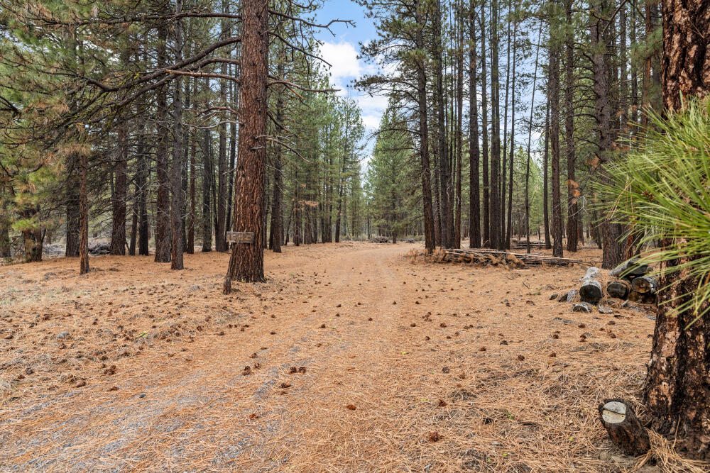 13423 Sprague River Road, Unit 1 Chiloquin, OR 97624 - Photo 39 of 46 Pine needles have dropped!