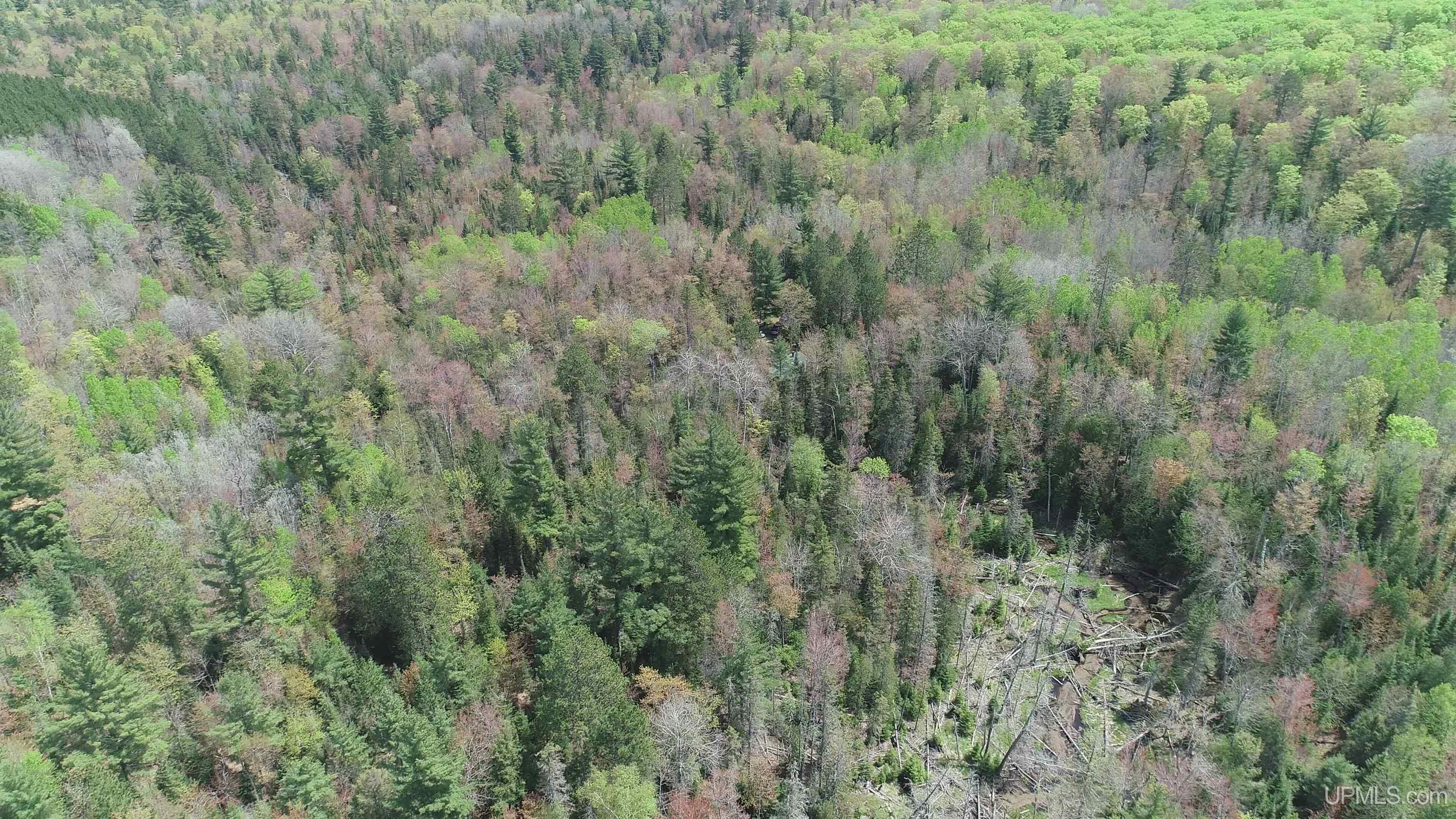 38-acres County Rd NA Road Marquette, MI 49855 - Photo 65 of 70