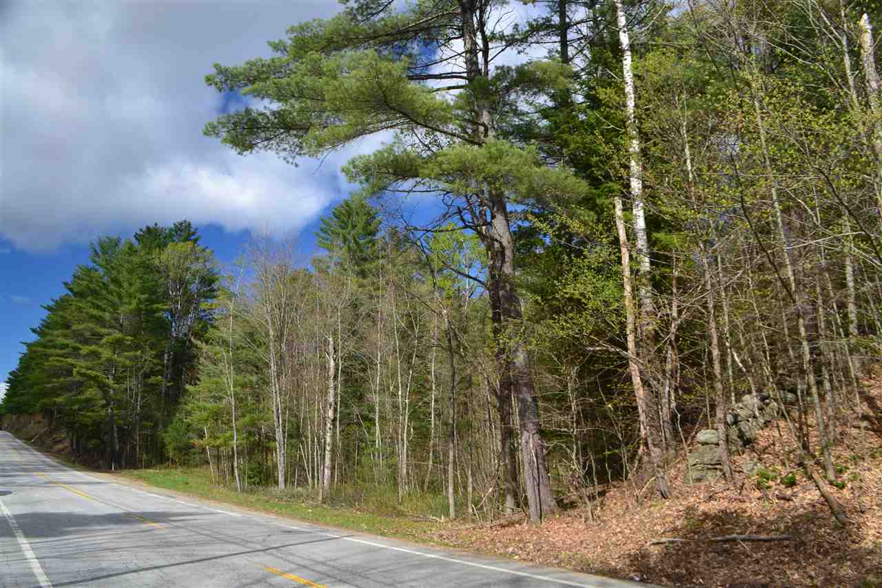 242 Wiggin Road Danbury, NH 03230 - Photo 1 of 13