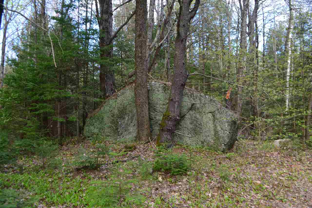 242 Wiggin Road Danbury, NH 03230 - Photo 3 of 13