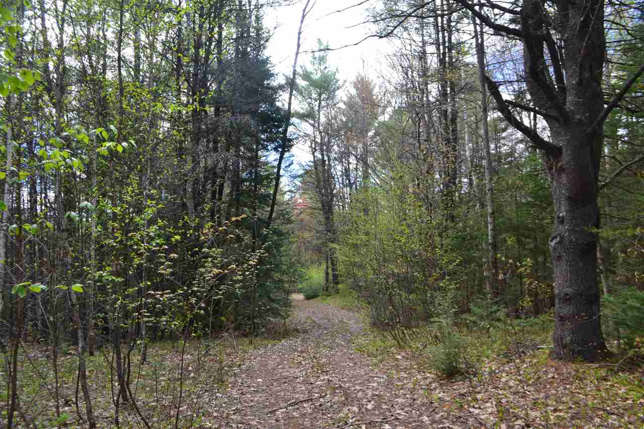 242 Wiggin Road Danbury, NH 03230 - Photo 4 of 13