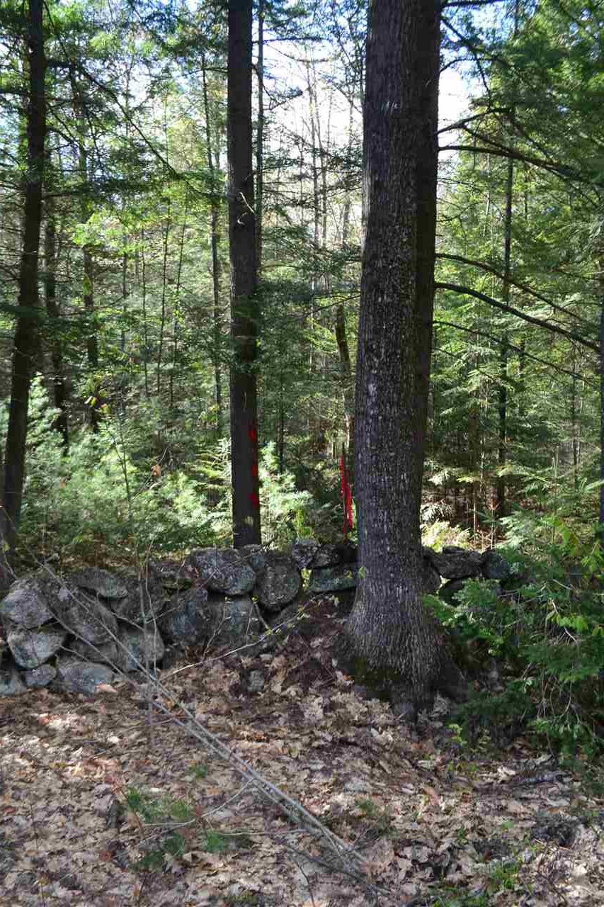 242 Wiggin Road Danbury, NH 03230 - Photo 7 of 13