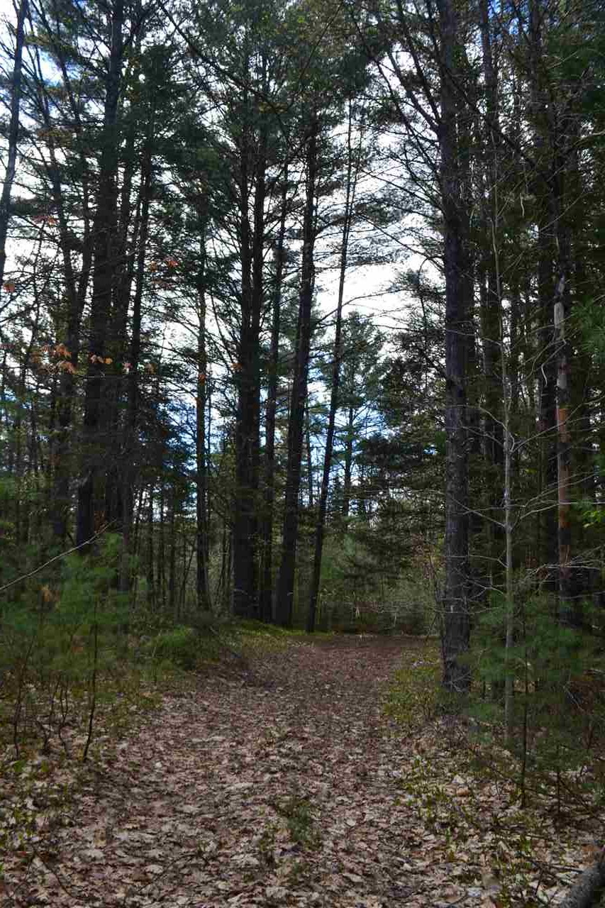 242 Wiggin Road Danbury, NH 03230 - Photo 8 of 13