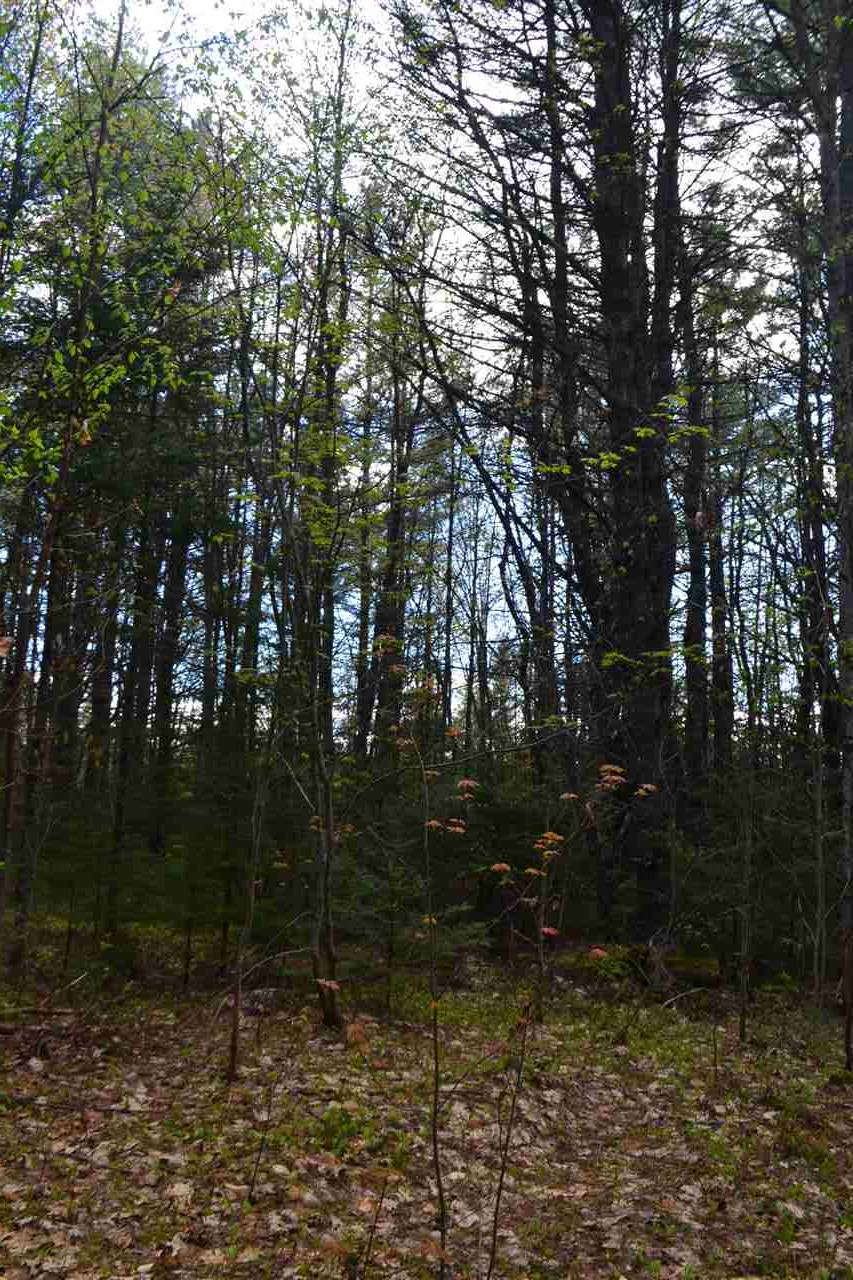 242 Wiggin Road Danbury, NH 03230 - Photo 9 of 13