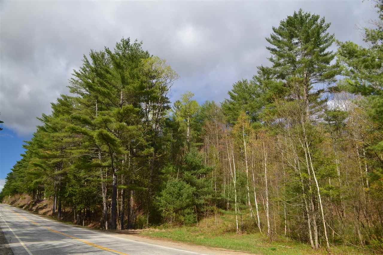 242 Wiggin Road Danbury, NH 03230 - Photo 10 of 13
