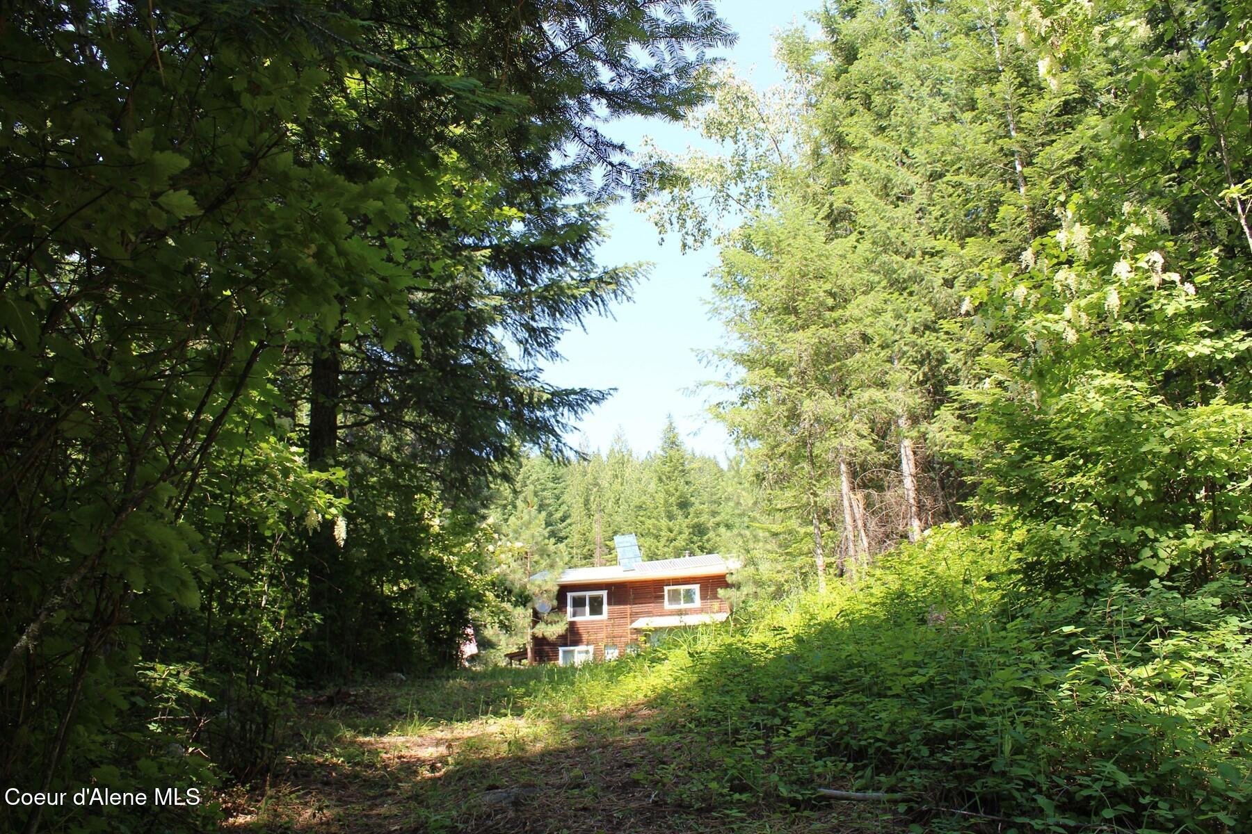 788 Gold Cup Mountain Road Laclede, ID 83841 - Photo 41 of 64 Interior Looking North