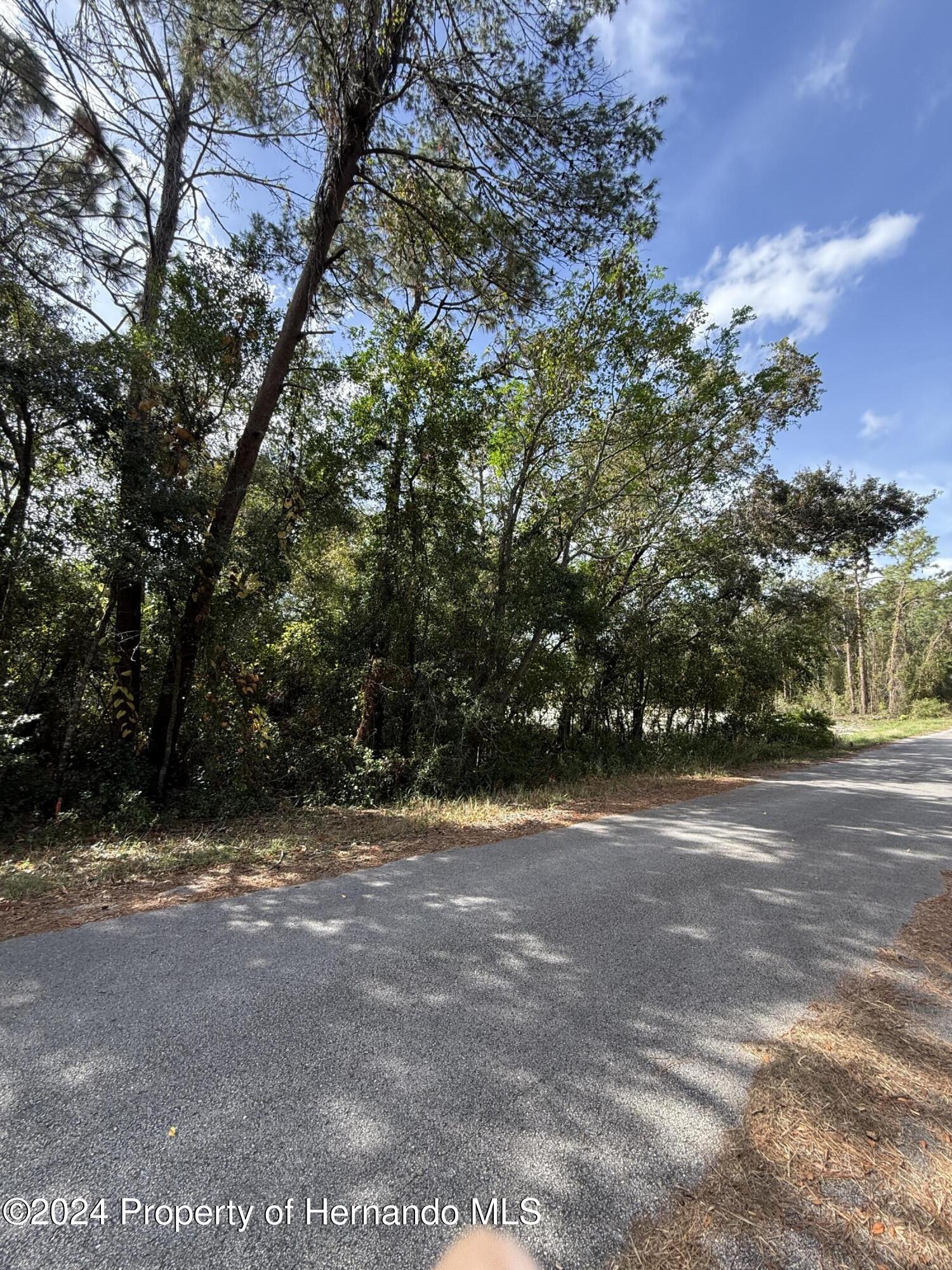 a view of a yard with a trees
